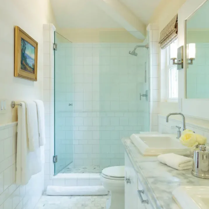 Bathroom Interior Design