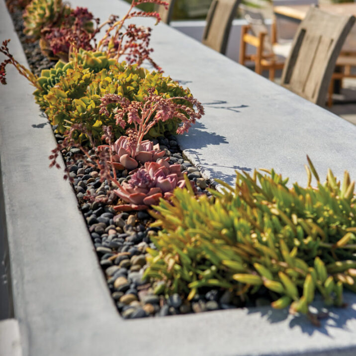 Marigold Exterior Design