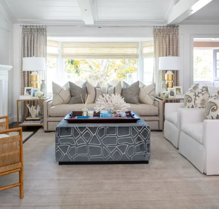 Living Room Interior Design