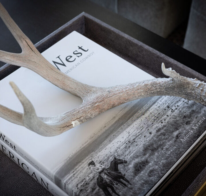 Mountain View Interior Design