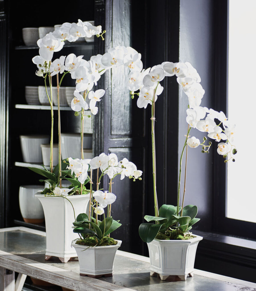 Barclay Butera for Napa Home & Garden