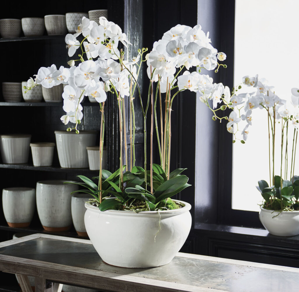 Barclay Butera for Napa Home & Garden